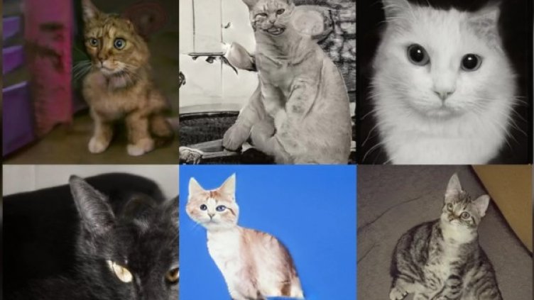 Снимка: StyleGAN