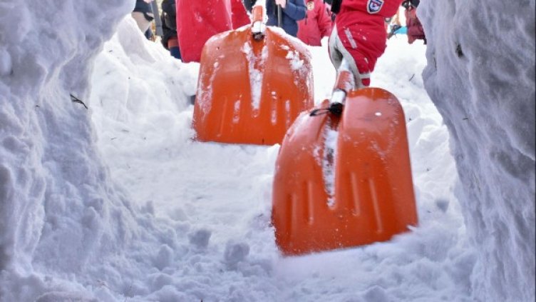 Снимка: архив Bulphoto