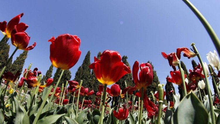 Снимка: Булфото