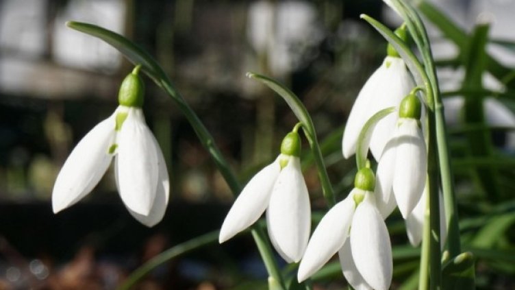 Снимка: архив, Булфото