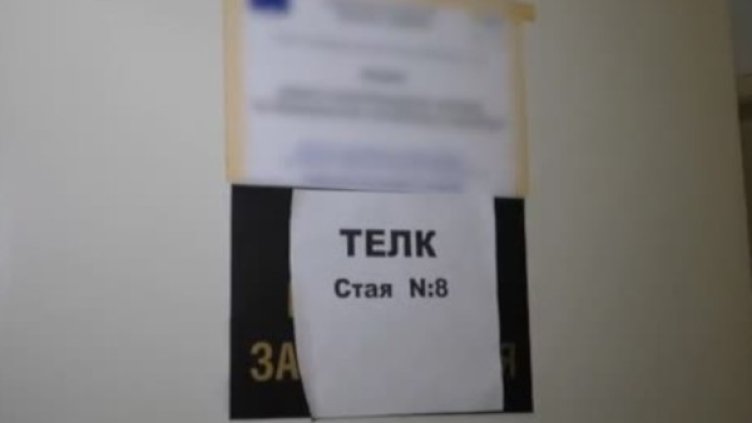 Снимка: Bulgaria ON AIR