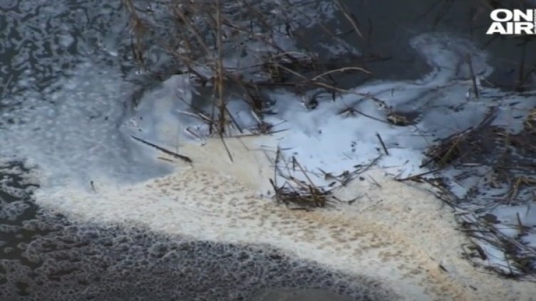 Снимка: Bulgaria ON AIR