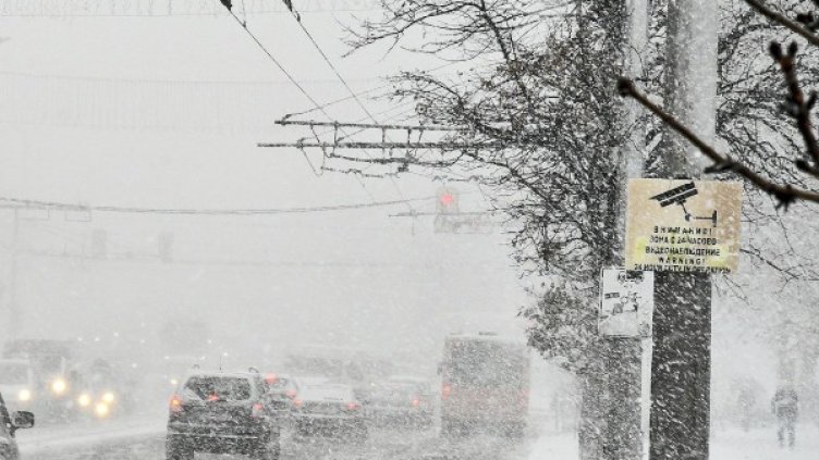 Снимка: Булфото, архив