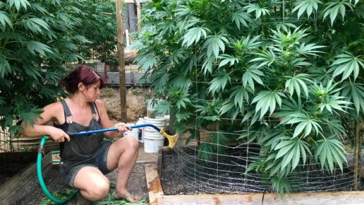 Снимка: Reuters