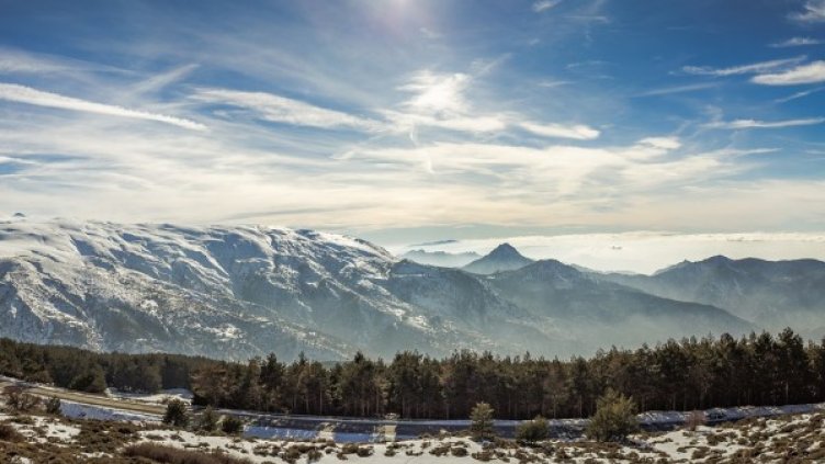 Снимка: Pixabay