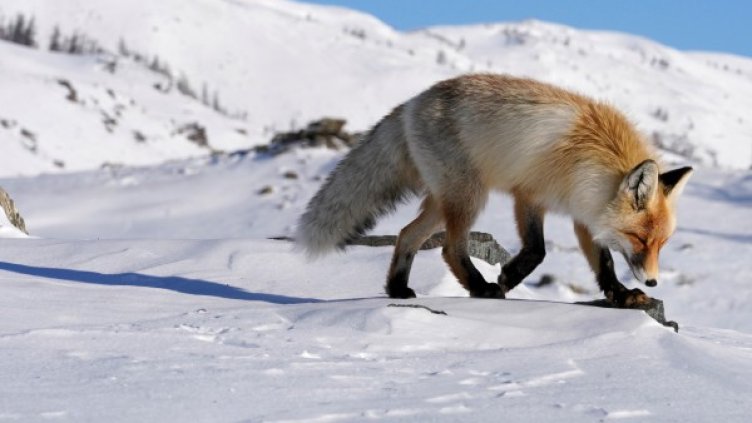 Снимка: Reuters