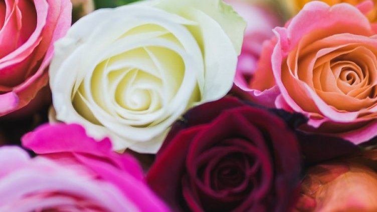 Снимка: Pexels