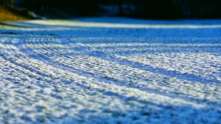 Снимка: pixabay.com