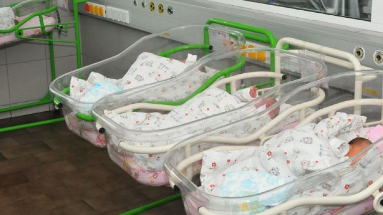 Снимка: архив, Булфото