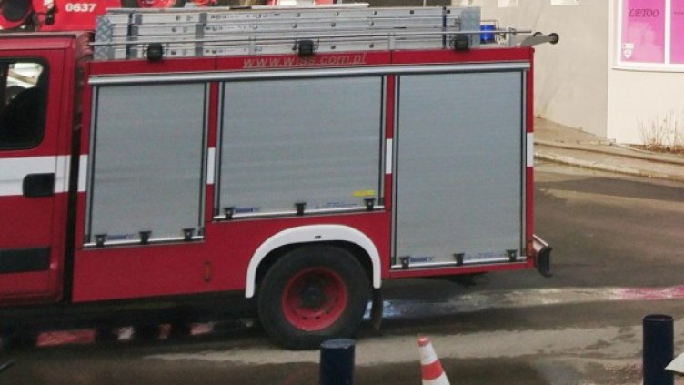 Снимка: Булфото, архив