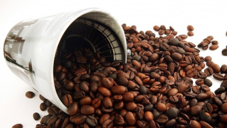 Снимка: Pixabay