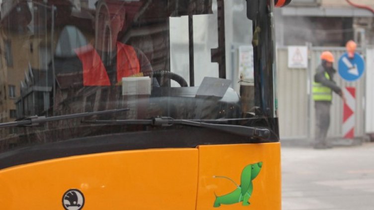 Снимка: Димитър Кьосемарлиев, Dnes.bg