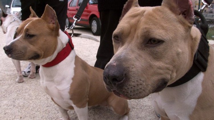 Снимка: Reuters