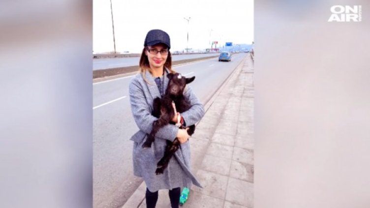 Снимка: bgonair.bg