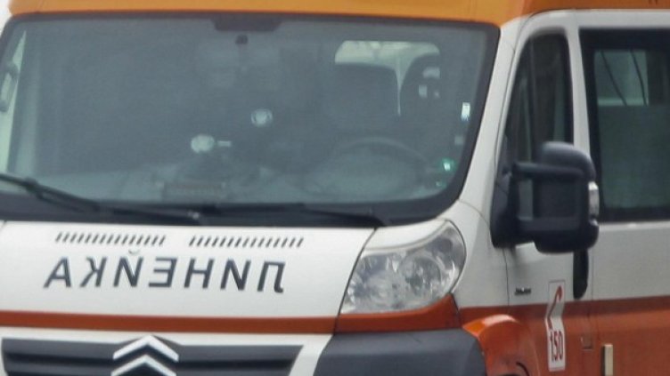 Снимка: Архив, Булфото