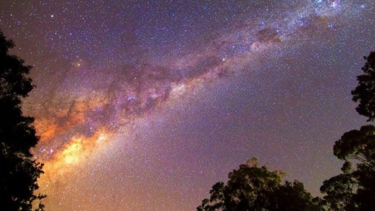 Снимка: Pexels