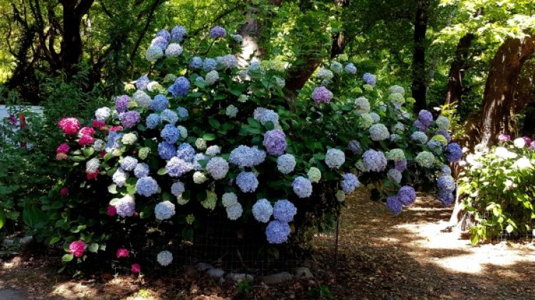 Снимка: архив, Dnes.bg