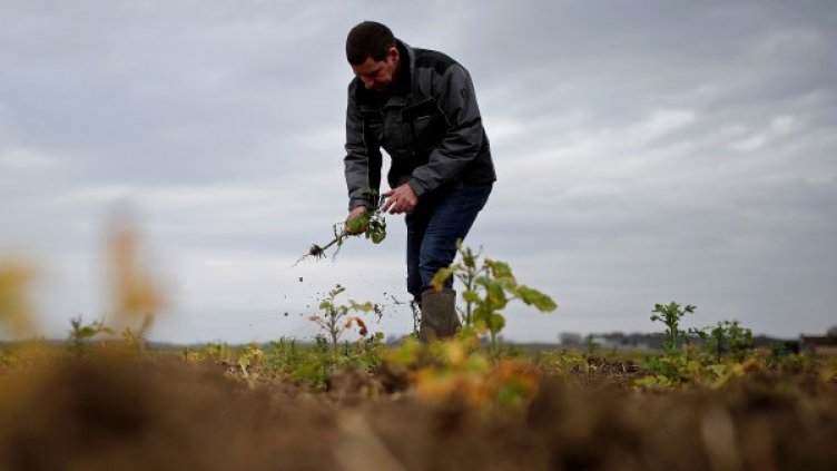 Снимка:  Reuters