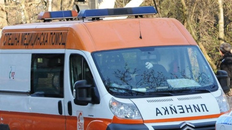 Снимка: Булфото, архив