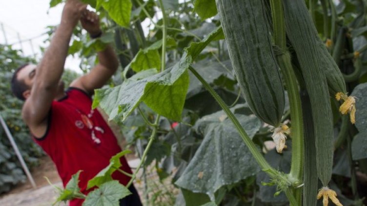 Снимкa: Reuters, архив