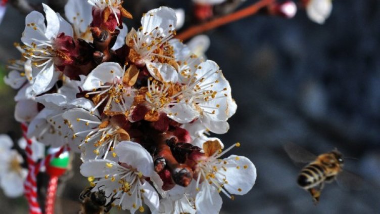 Снимкa: Reuters, архив