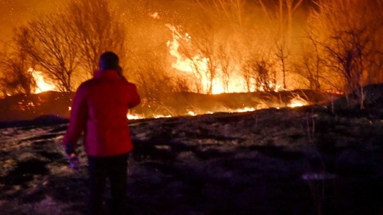 Снимка: Булфото