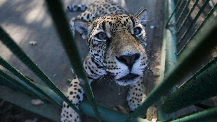 Снимка: Reuters