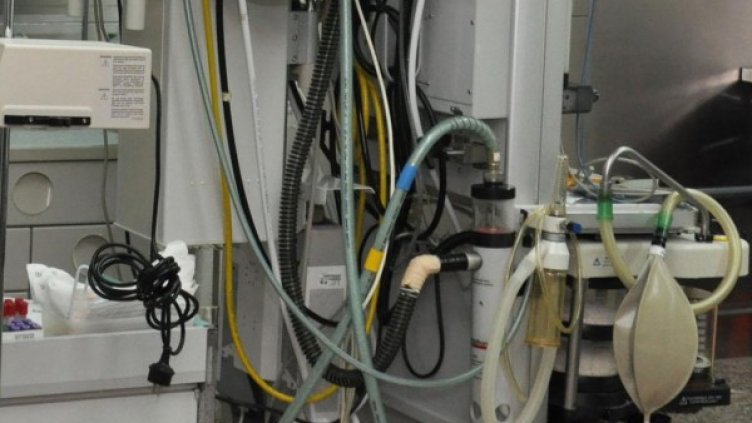 Снимка: архив, БулФото