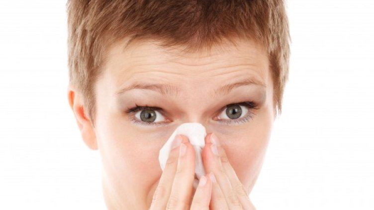 Снимка: pexels