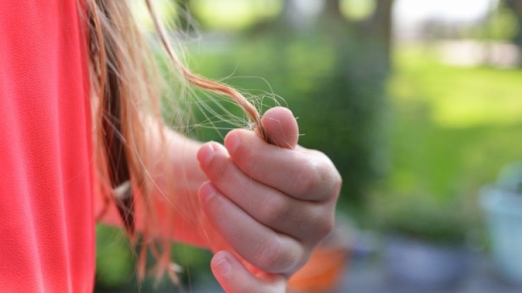 Снимка: pexels