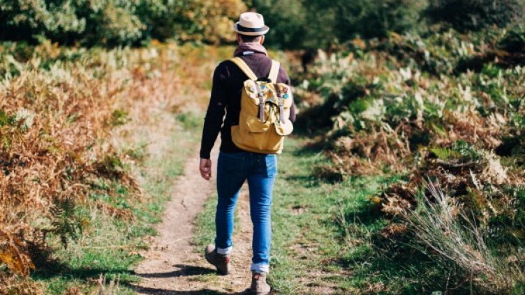 Снимка: pexels