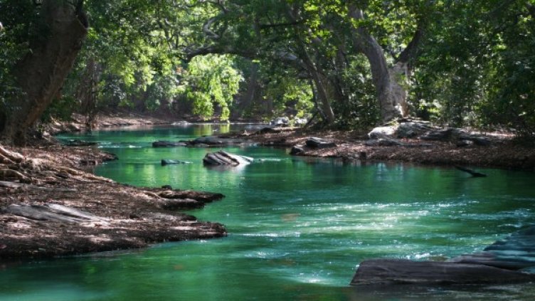 Снимка: Pexels