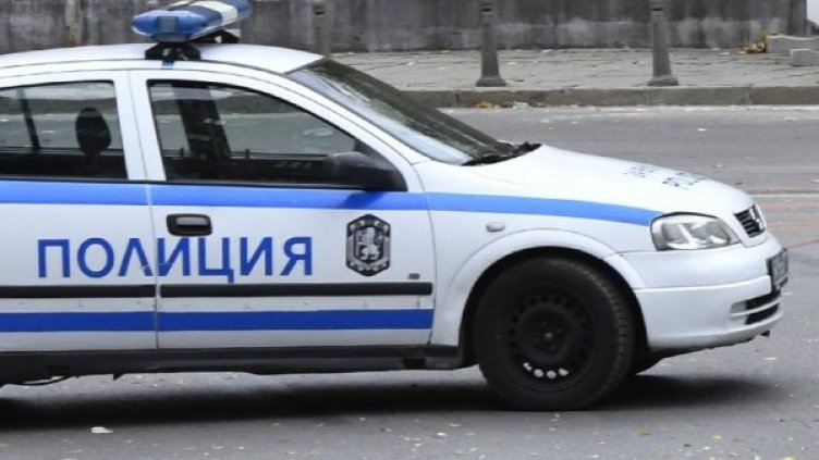 Снимка: Архив, Булфото