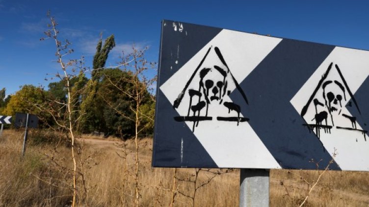 Снимка: Reuters