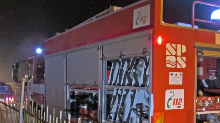 Снимка: Булфото, архив