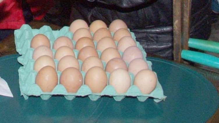 Снимка: архив, БулФото