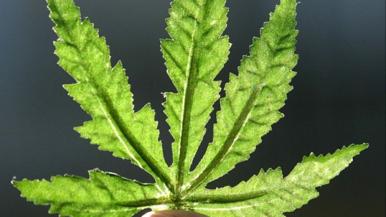 Снимка: архив, Ройтерс