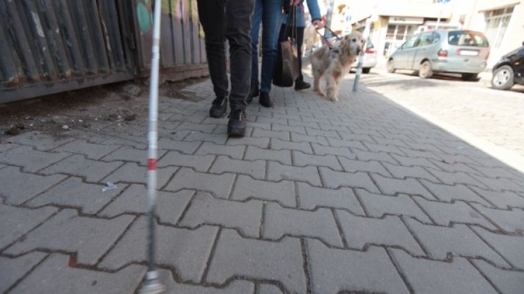 Снимка: Димитър Кьосемарилев, Dnes.bg