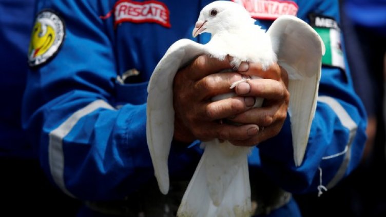 Снимка: Reuters