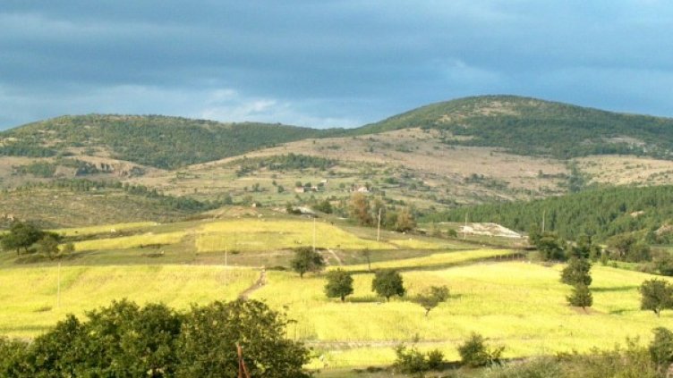 Снимка: архив "Булфото"