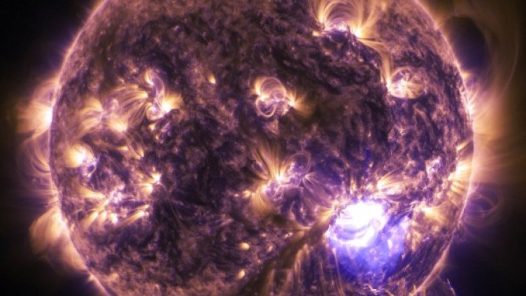 Снимка: Pixabay