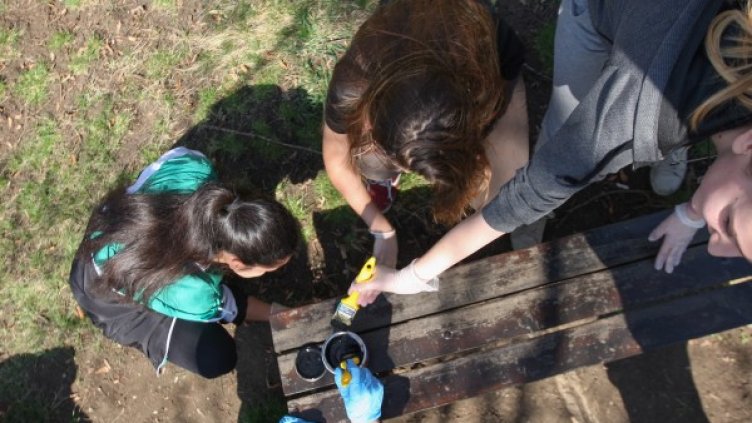 Снимка: Димитър Кьосемарлиев, Dnes.bg