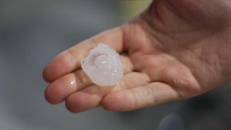 Снимка: архив, БулФото