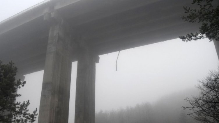 Архив: Булфото