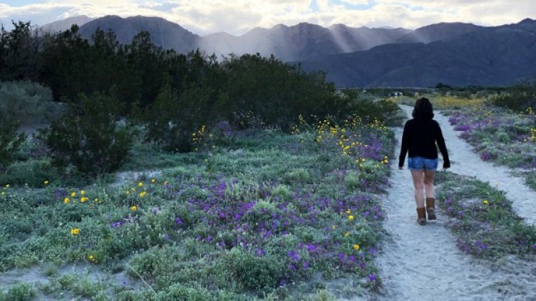 Снимка: Reuters, архив