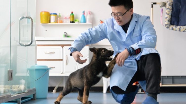 Снимка: Reuters