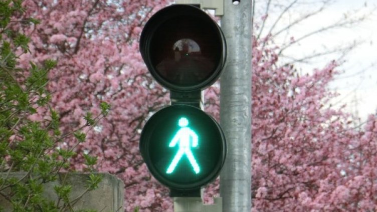 Снимка: Pixabay