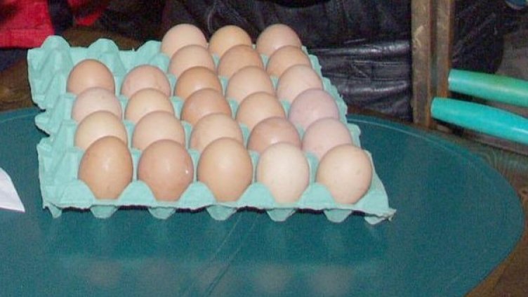 Снимка: архив, БулФото