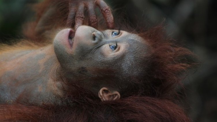 Снимка: pixabay.com