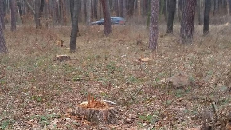 Снимка: Архив, Булфото